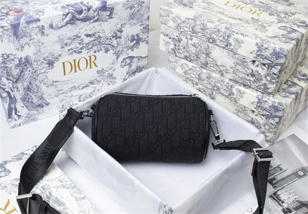 Dior Bags AAA 016
